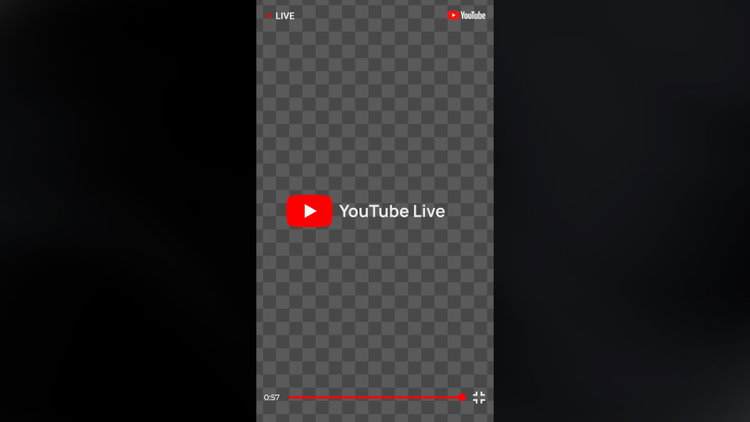Camera Capture Overlay Vertical Camera Recording Overlay • Motion Graphics Template • Uppbeat