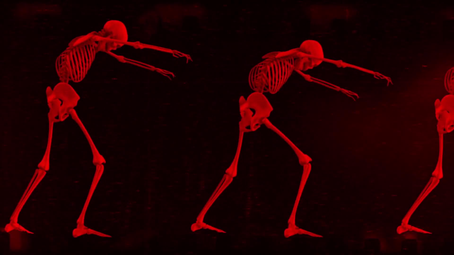 Zombie Skeletons Walk Loop