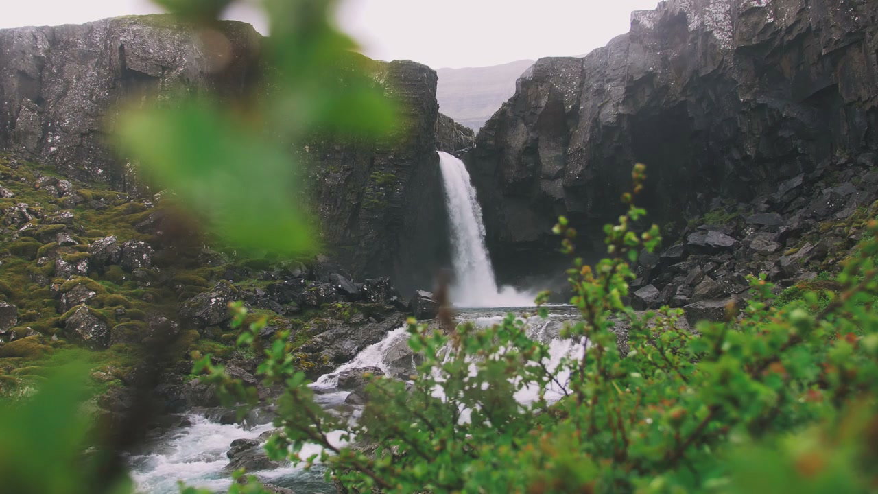 video preview