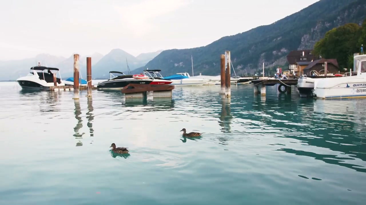 video preview