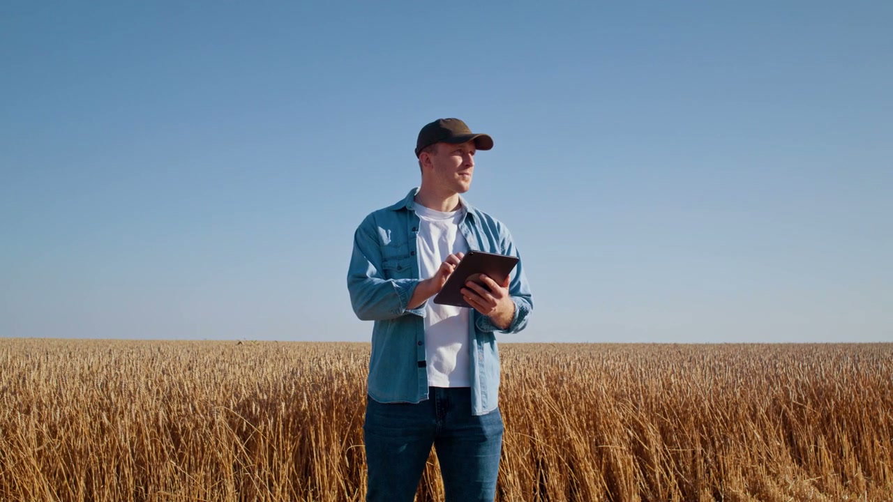 Farmer Using Tablet in Wheat Field