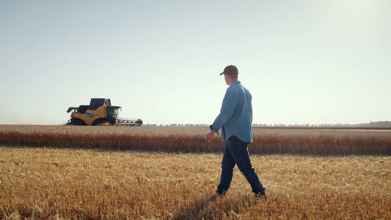 Farmer Walking in Wheat Field During Harvest