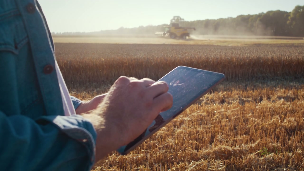 Farmer Using Tablet in Wheat Field