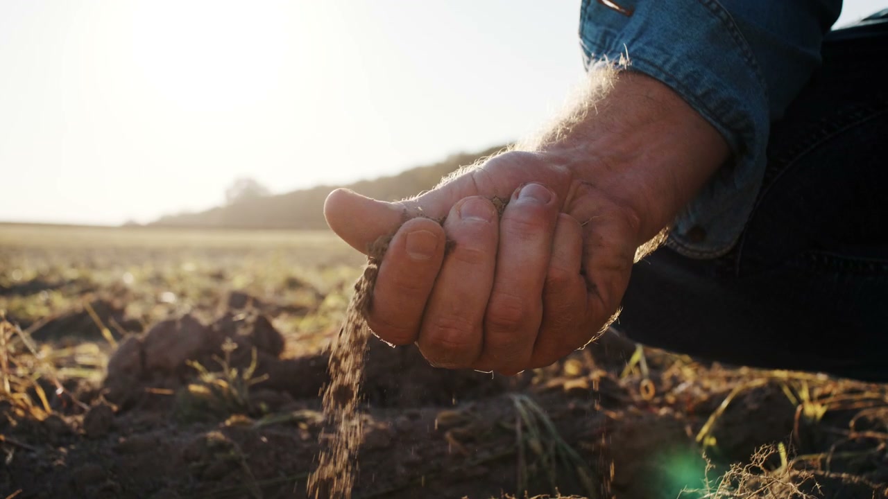 Farmer Sifting Soil in Field