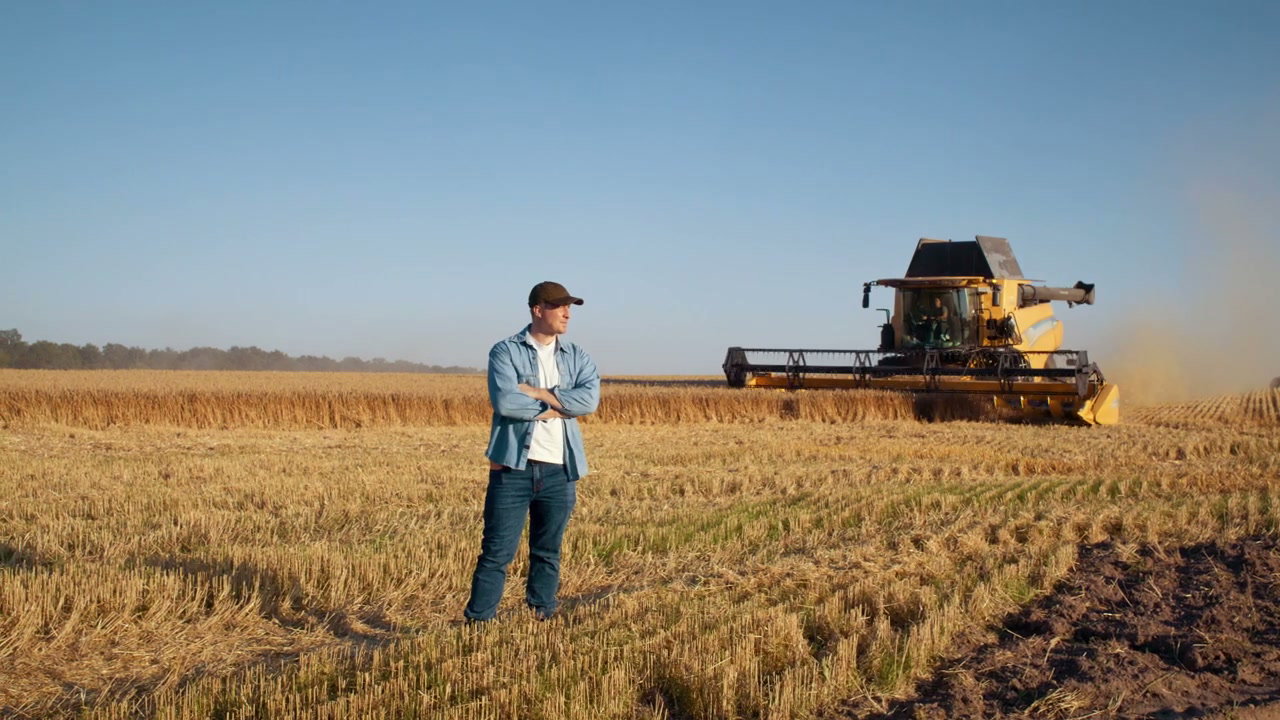 Farmer Standing in Wheat Field with Combine Harvester