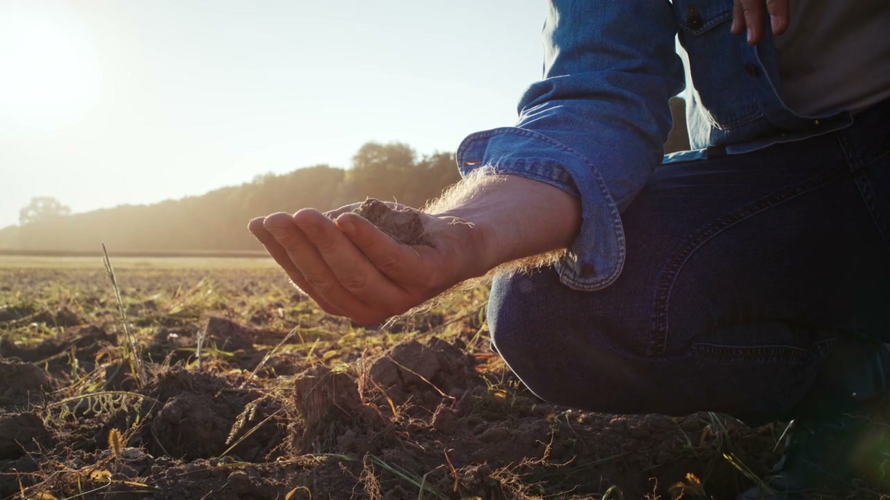 Farmer Inspecting Soil in Sunny Field