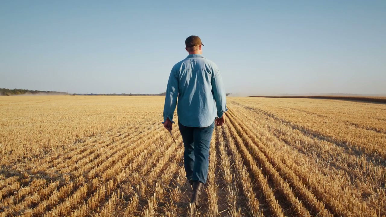 Farmer Walking in Harvested Field with Tablet