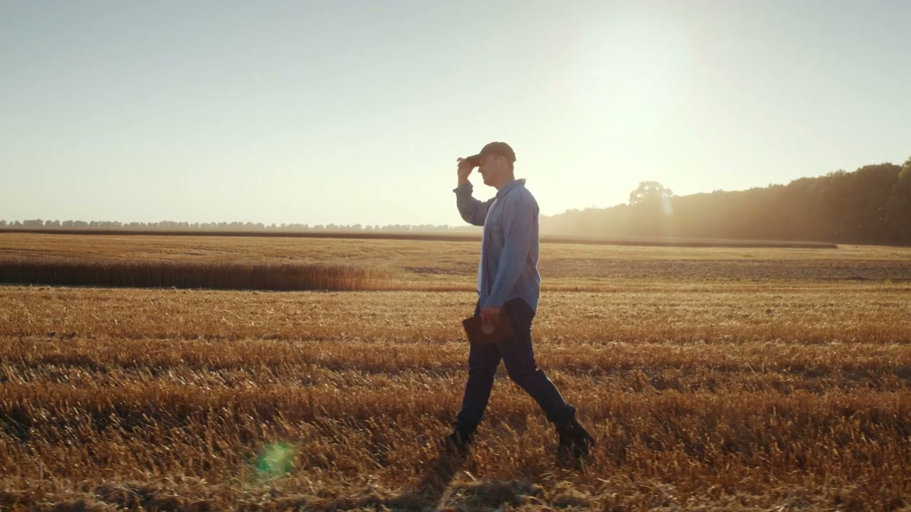 Farmer Inspecting Field at Sunset with Tablet