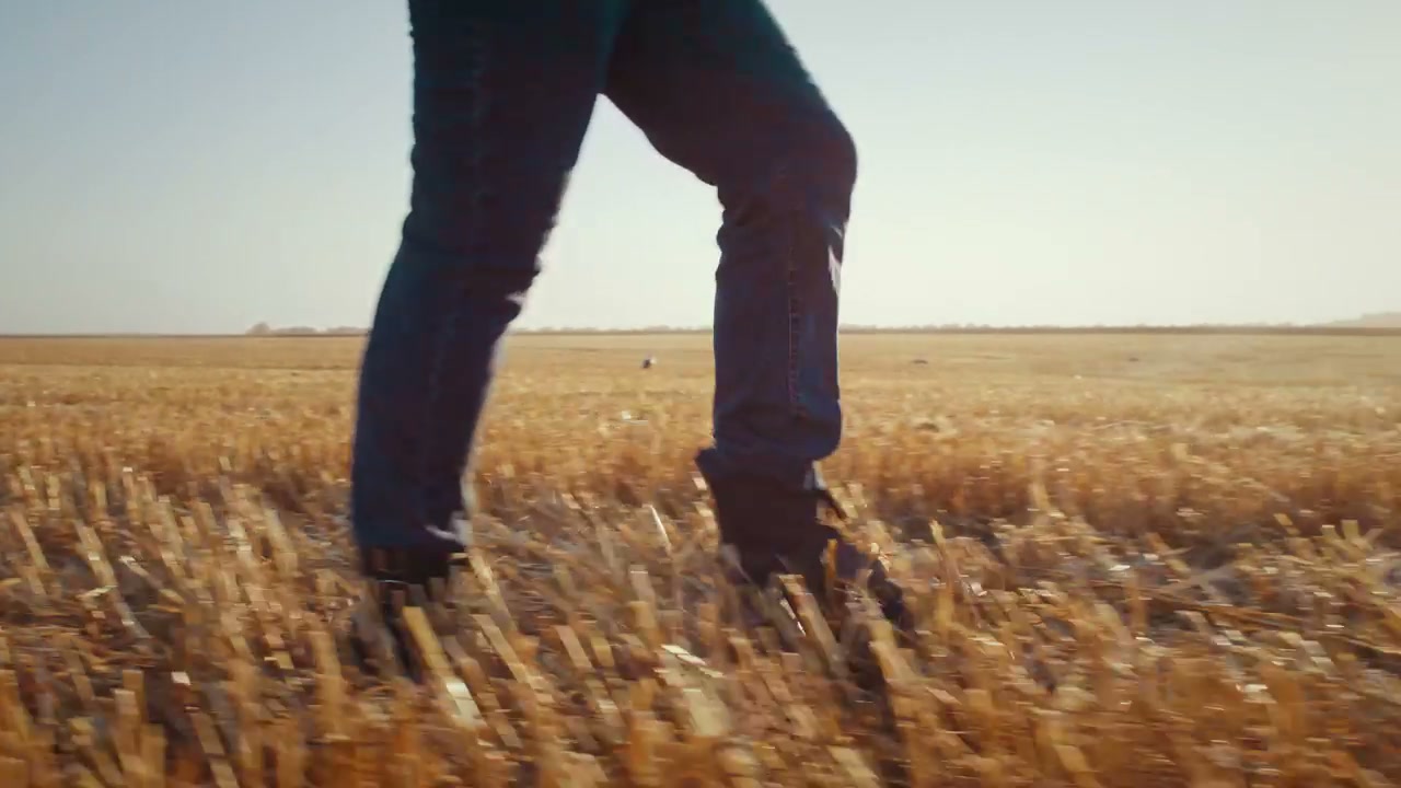 Person Walking In Harvested Field
