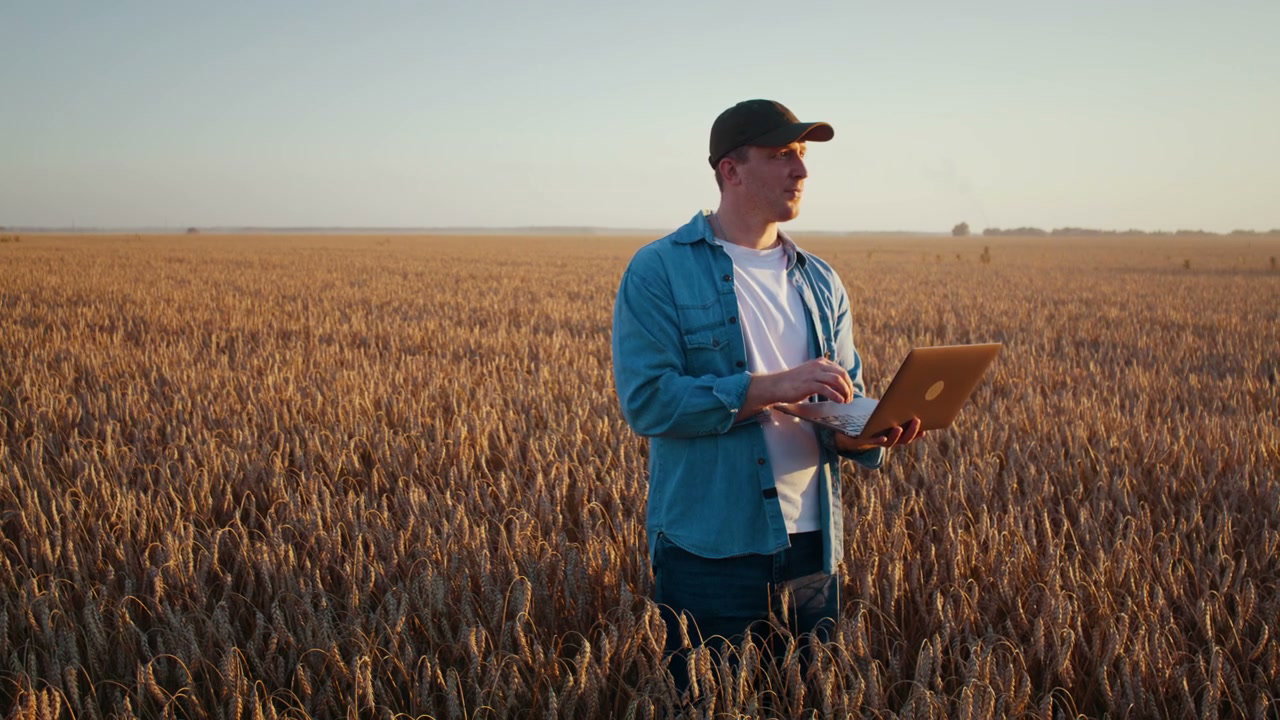 Man with Laptop in Golden Wheat Field