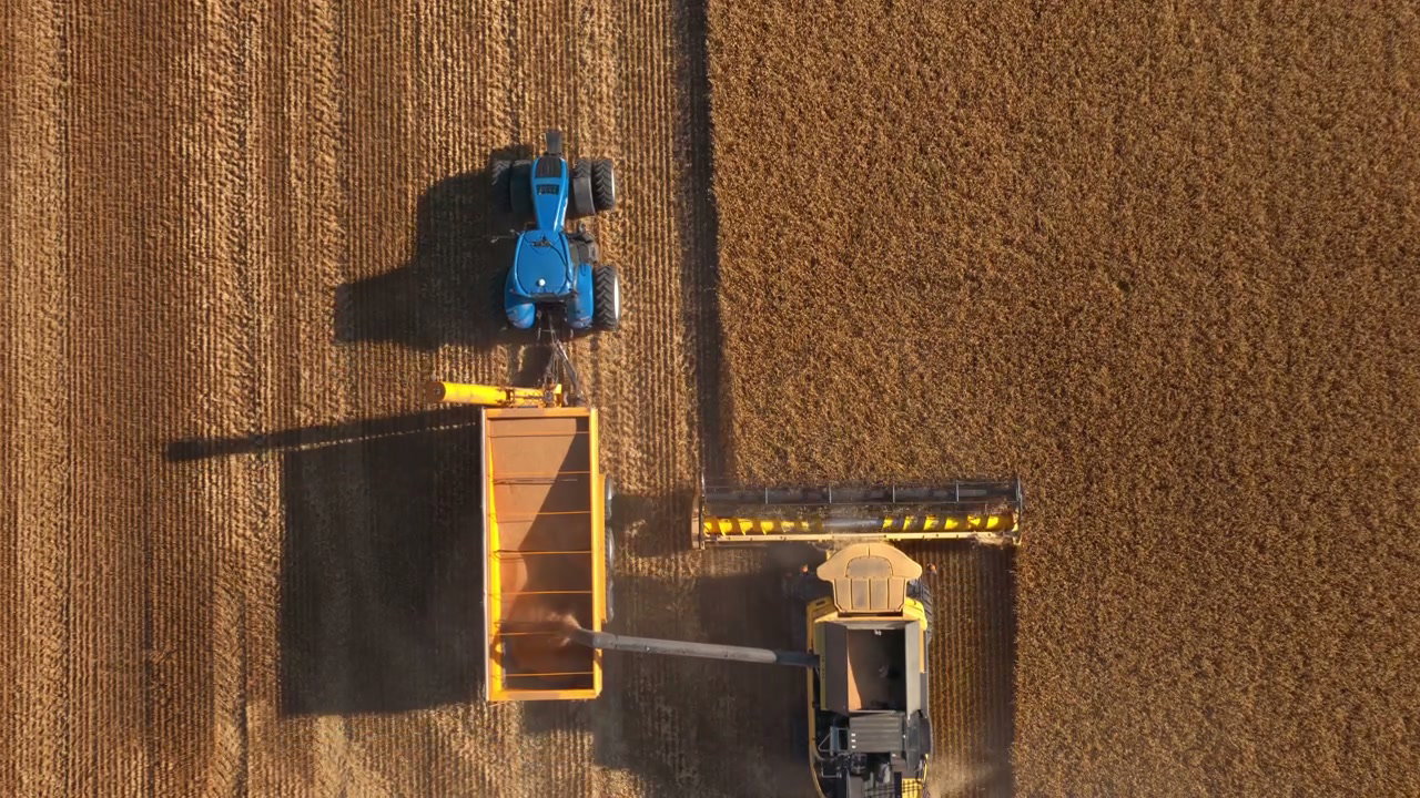 Combine Harvester Harvesting Crop Field