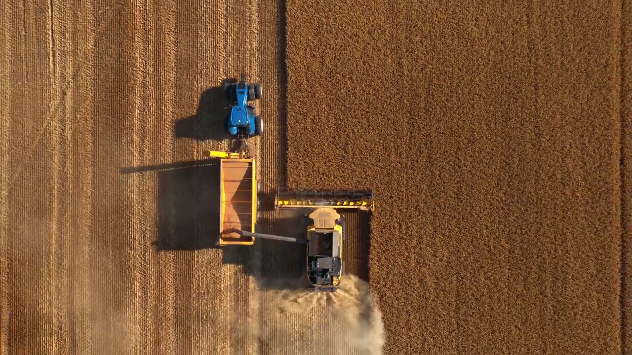 Aerial View of Grain Harvest