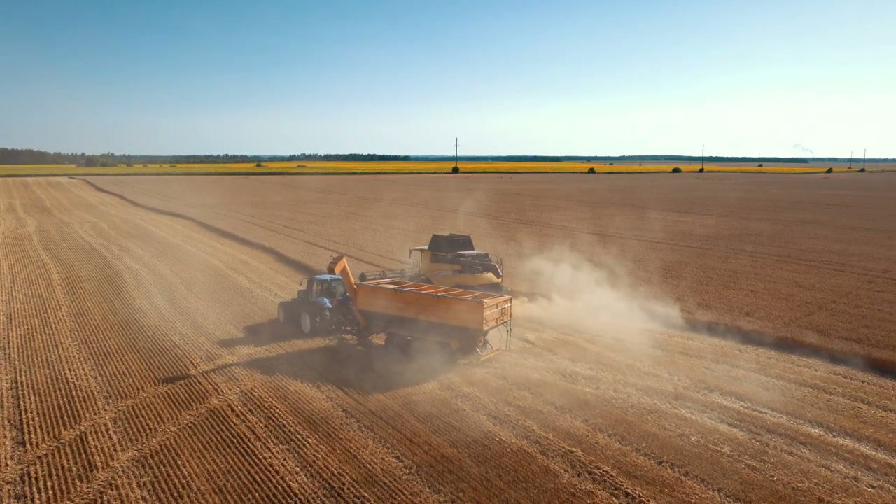 Agricultural Harvest with Combine and Tractor