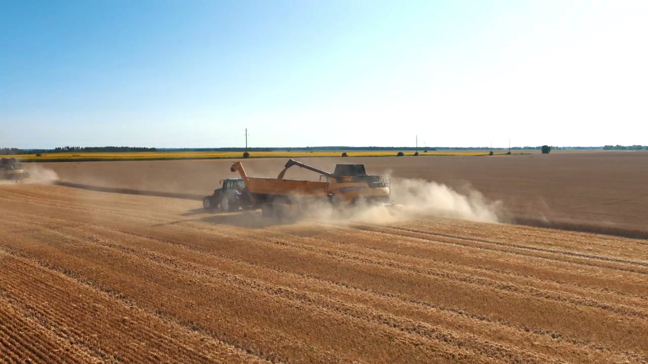 Combine Harvester Unloading Grain into Cart