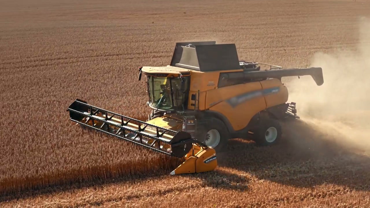 Combine Harvester Working Golden Wheat Field