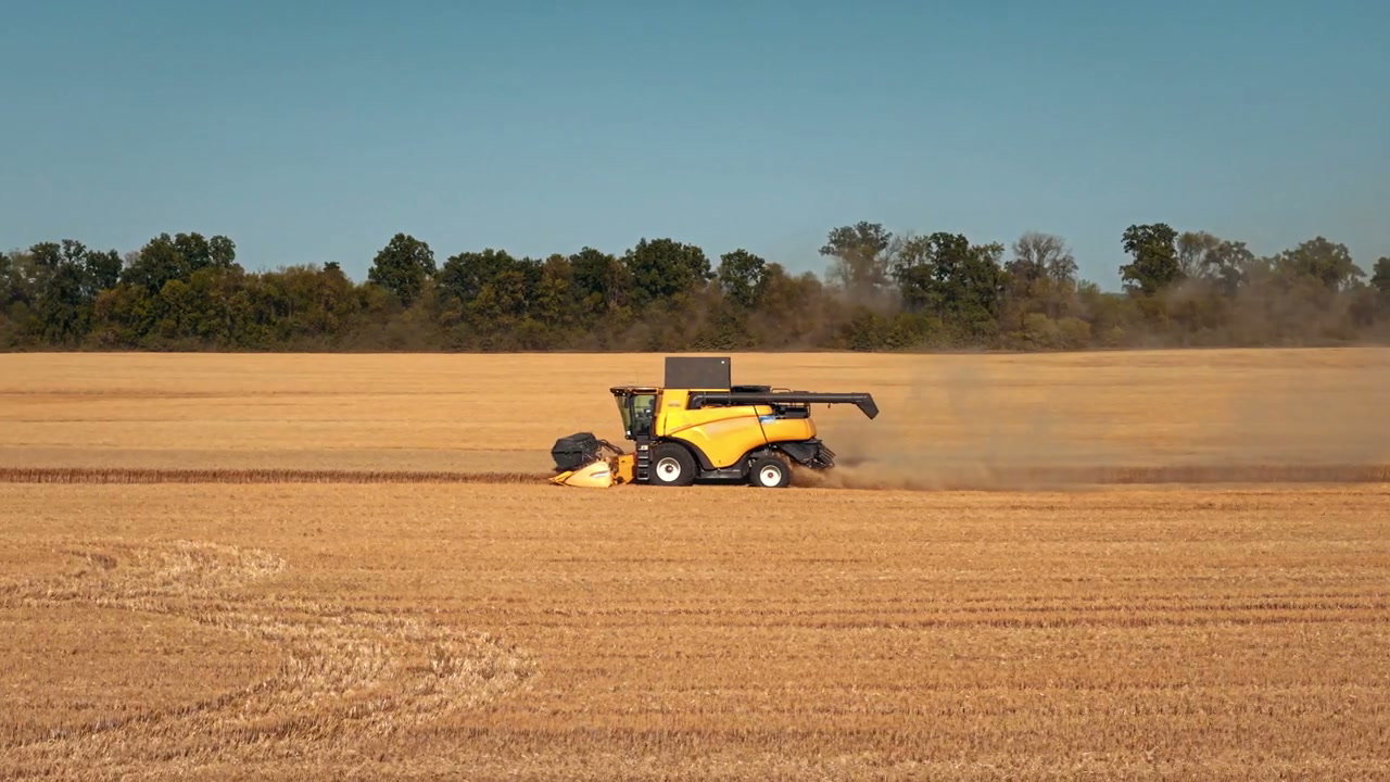 Yellow Combine Harvester Harvesting Golden Field