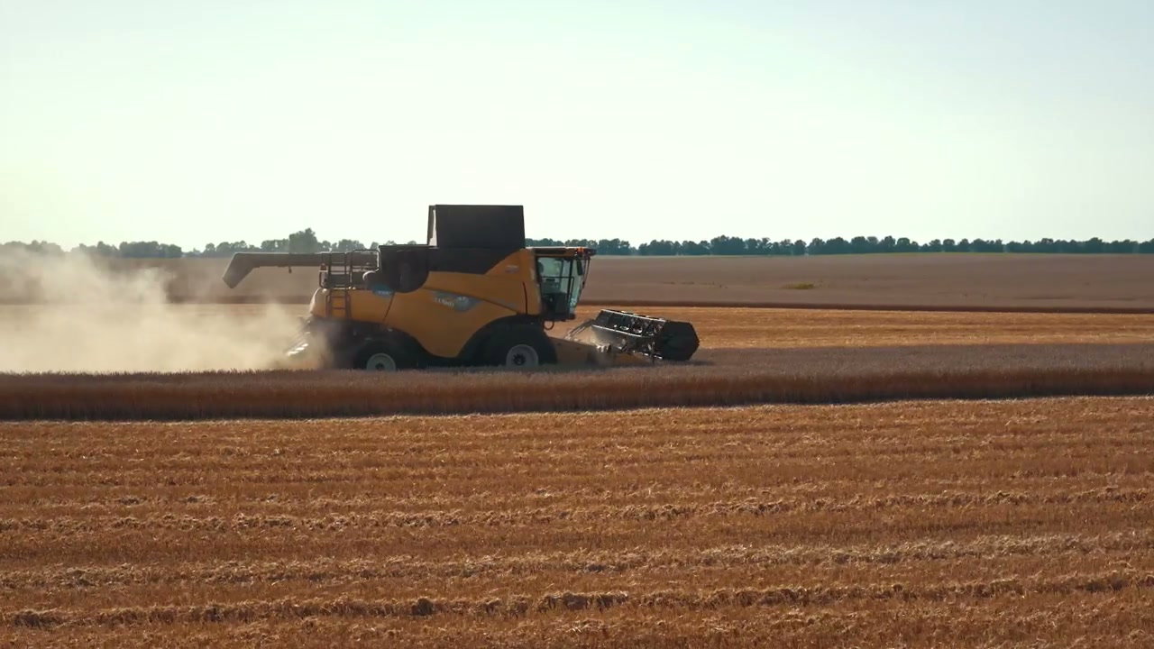 Combine Harvester Harvesting Wheat in Field