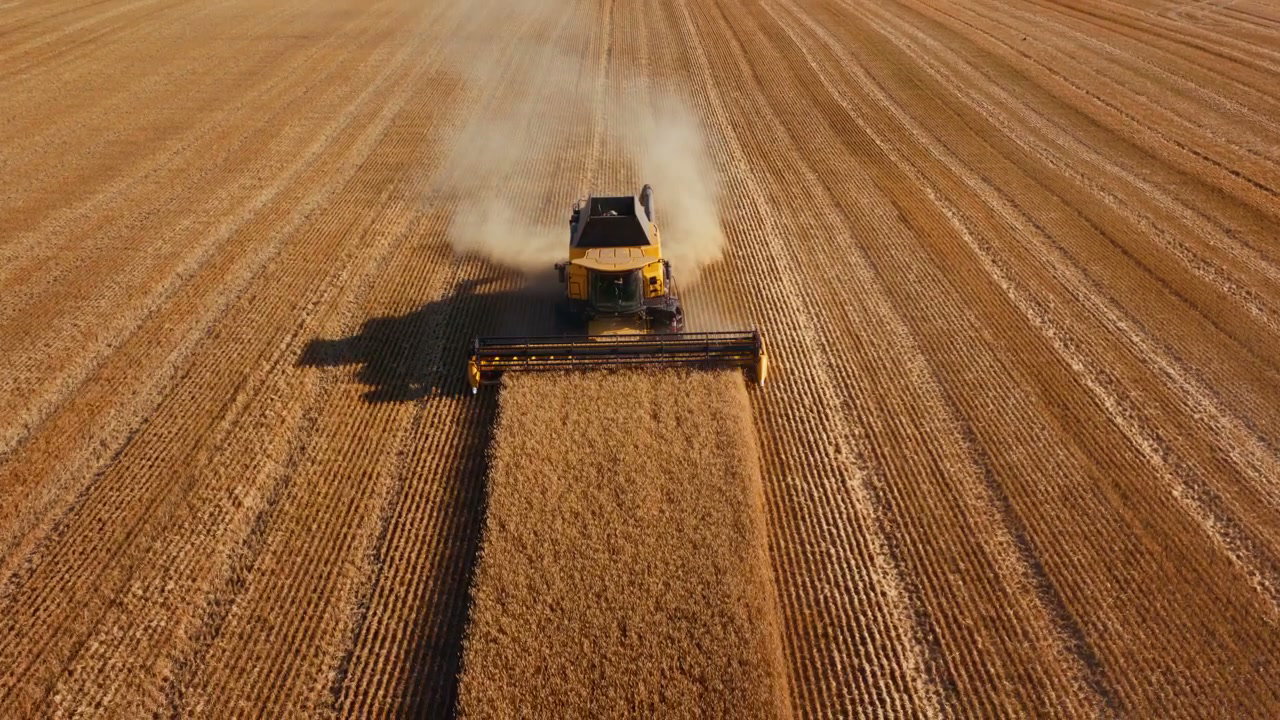 Aerial View Combine Harvester Harvesting Wheat