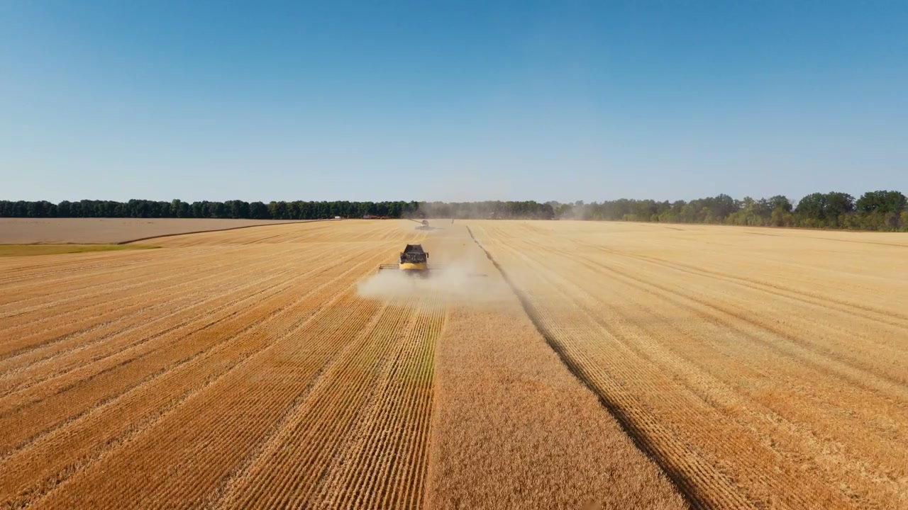 Combine Harvesters in Golden Field
