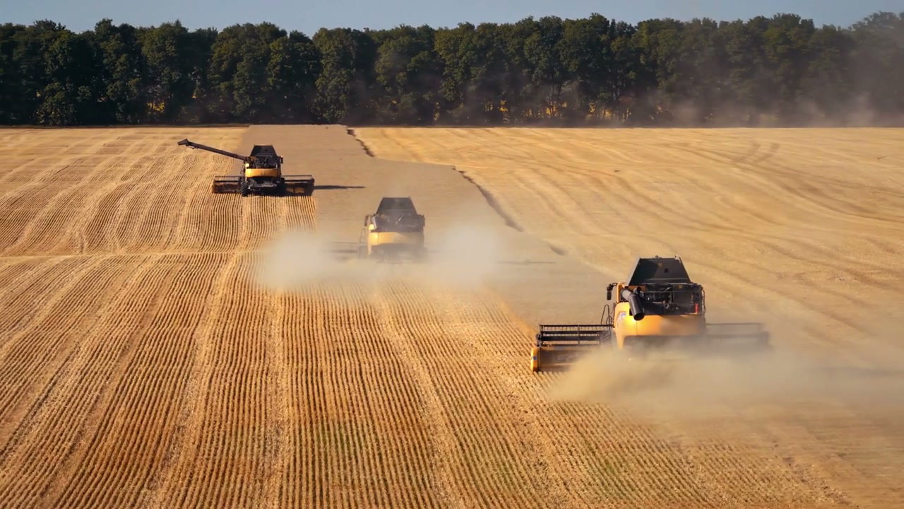 Combine Harvesters Working in Golden Field