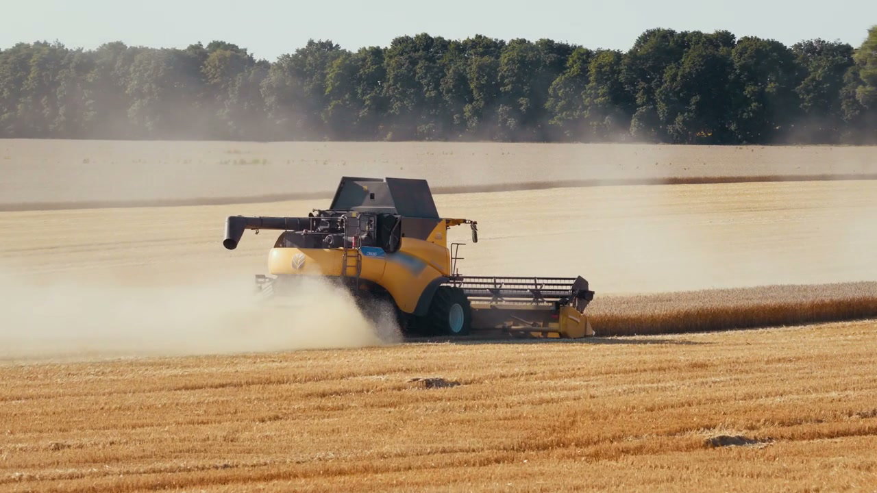 Combine Harvester Reaping Golden Wheat Field