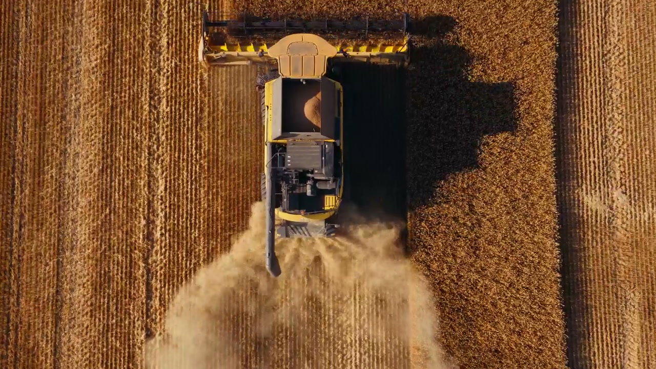Aerial View of Combine Harvester in Wheat Field