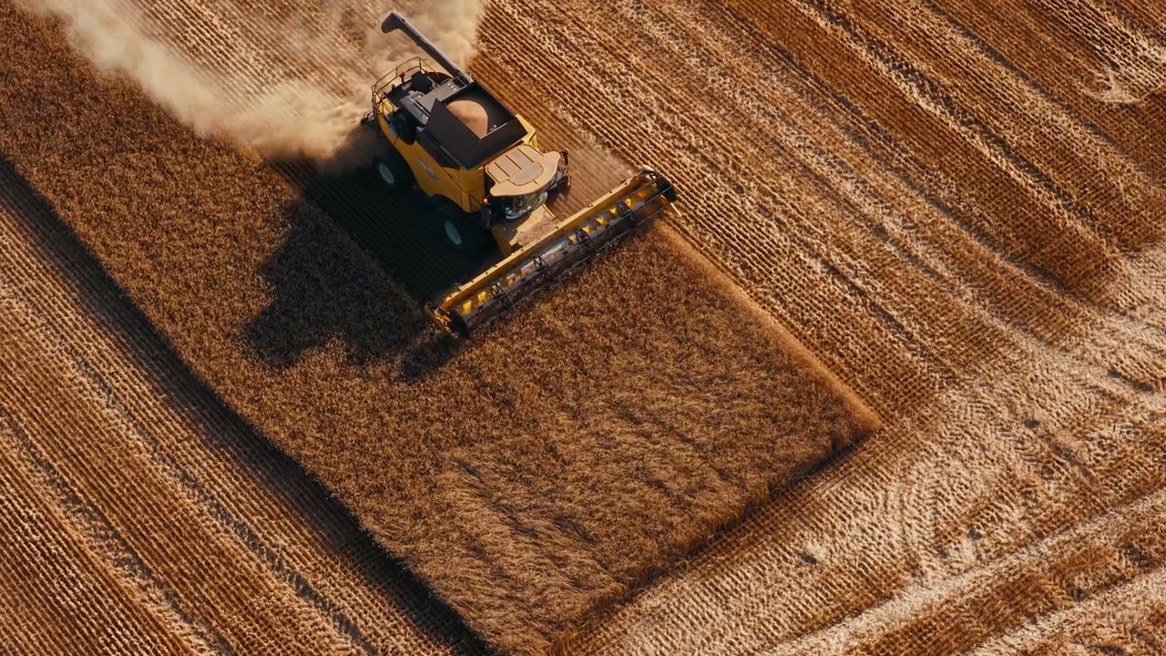 Aerial View of Combine Harvester in Grain Field