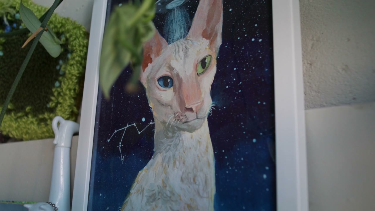 Painting of a Sphynx Cat with Heterochromia