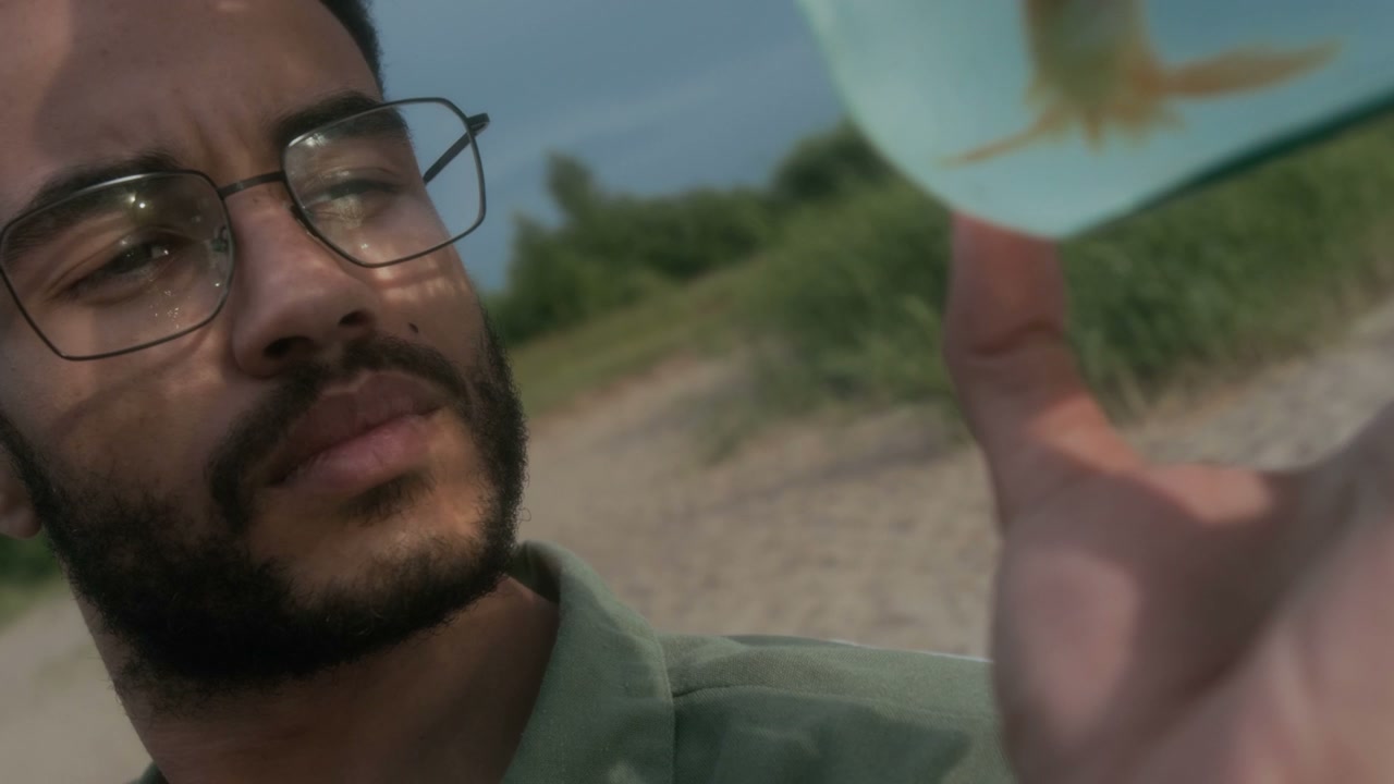 video preview