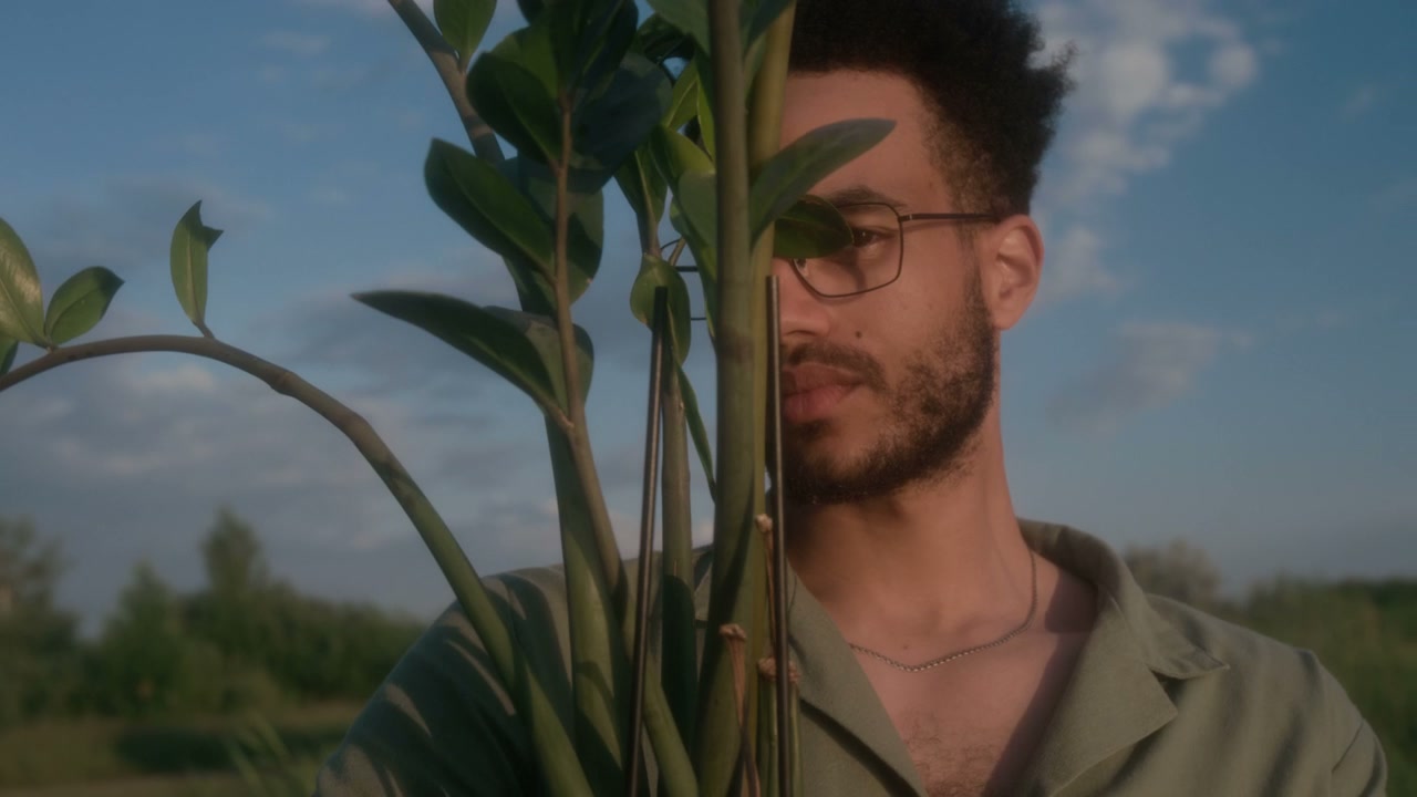 video preview
