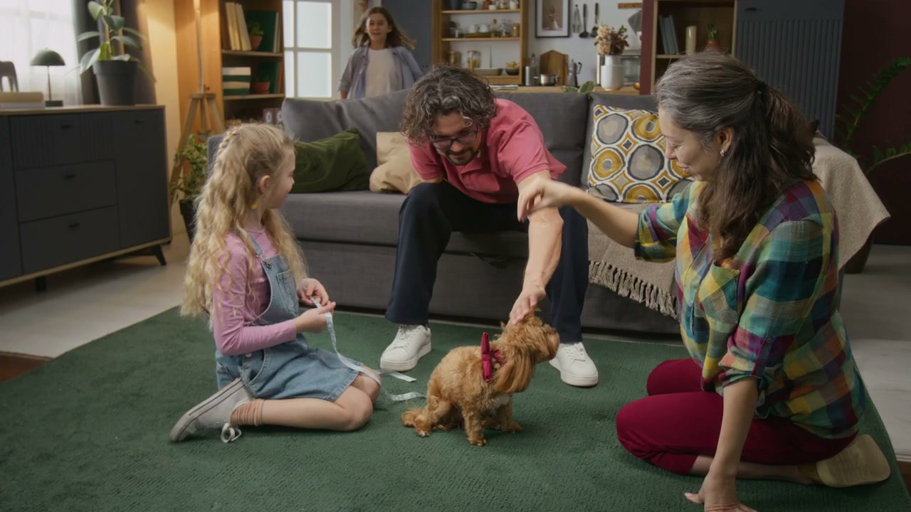 video preview