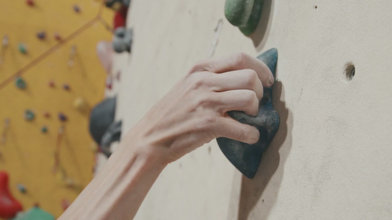 Climber Hand Gripping Indoor Wall Hold