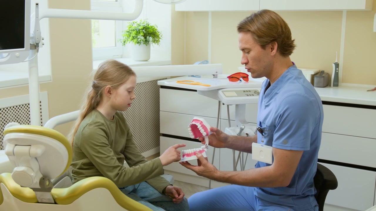 Dentist Explaining Jaw Model to a Girl