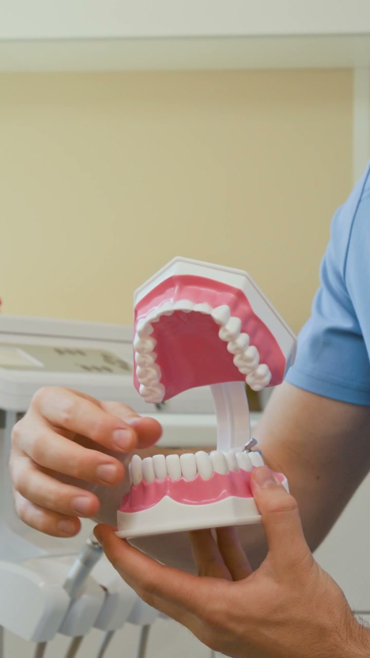 Dentist Explaining Dental Model with Missing Tooth