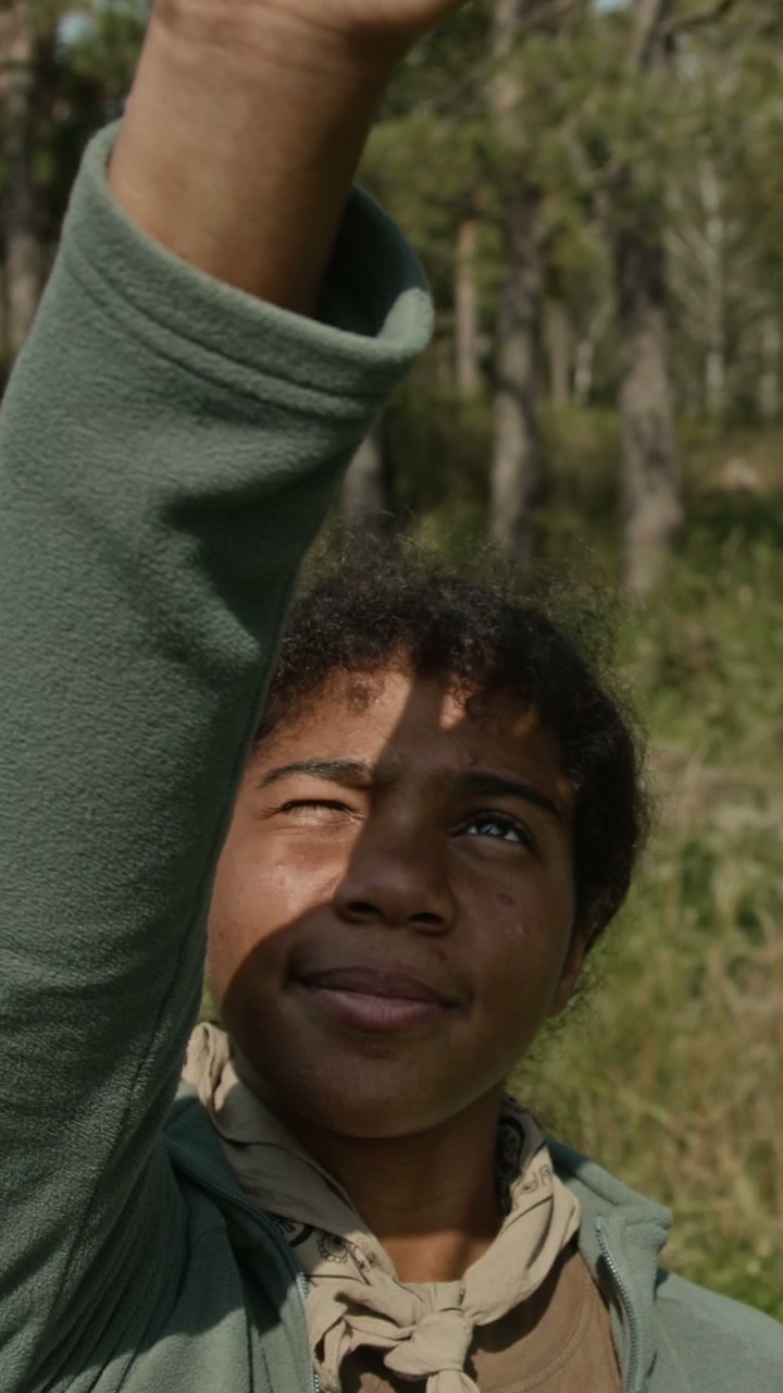 video preview
