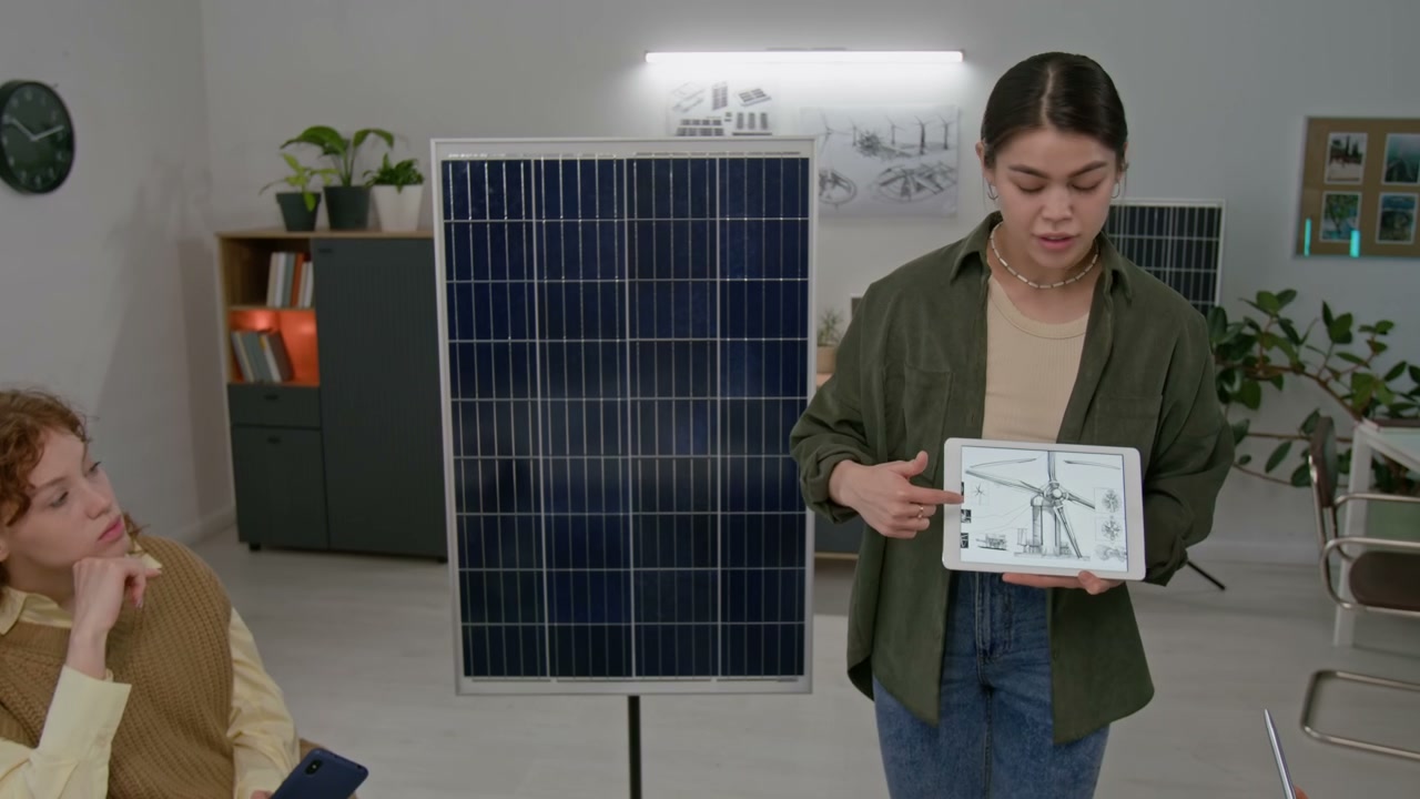 Woman Presenting Renewable Energy Project