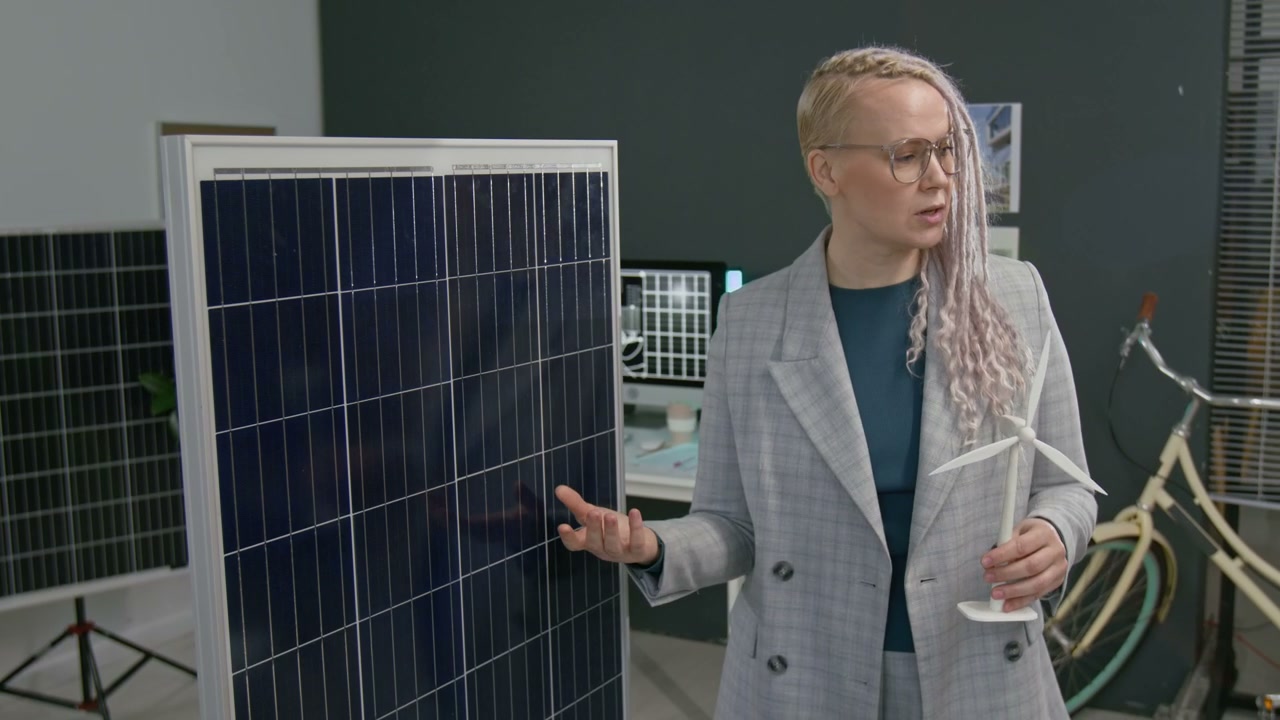 Professional Explaining Renewable Energy Solutions