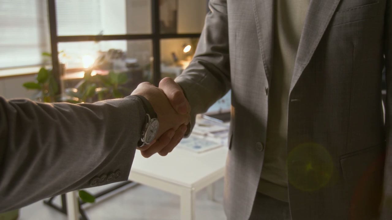 Business Professionals Shaking Hands