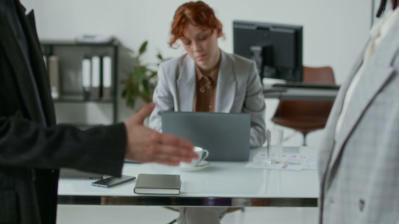 Professional Business Handshake