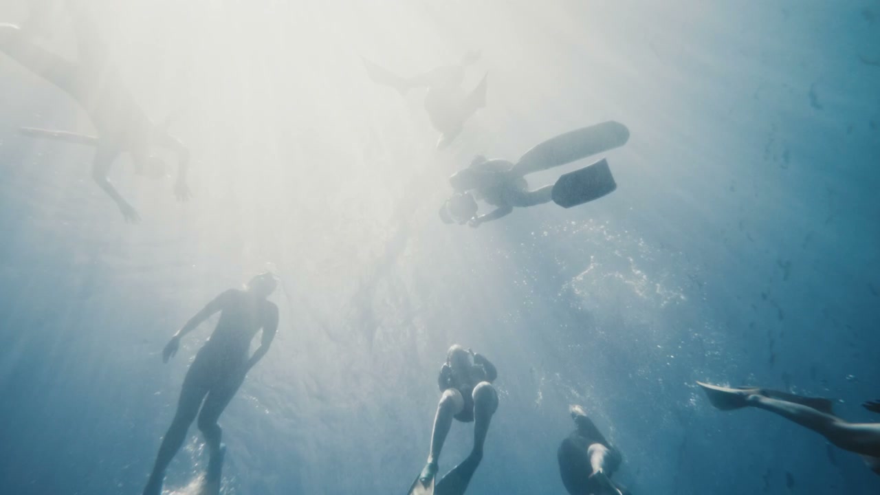 Group of People Freediving Underwater