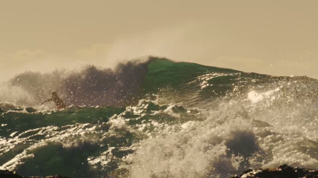 Sydney Surfer Riding Golden Ocean Wave