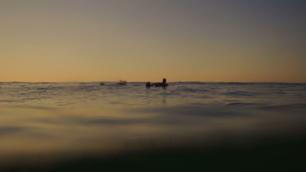 Surfers Silhouette on Golden Ocean Surface