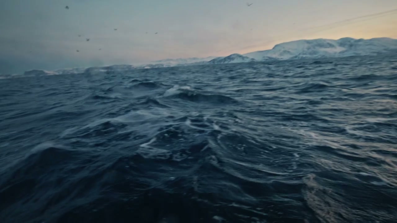 Orca Surfacing Near Boat in Rough Arctic Sea