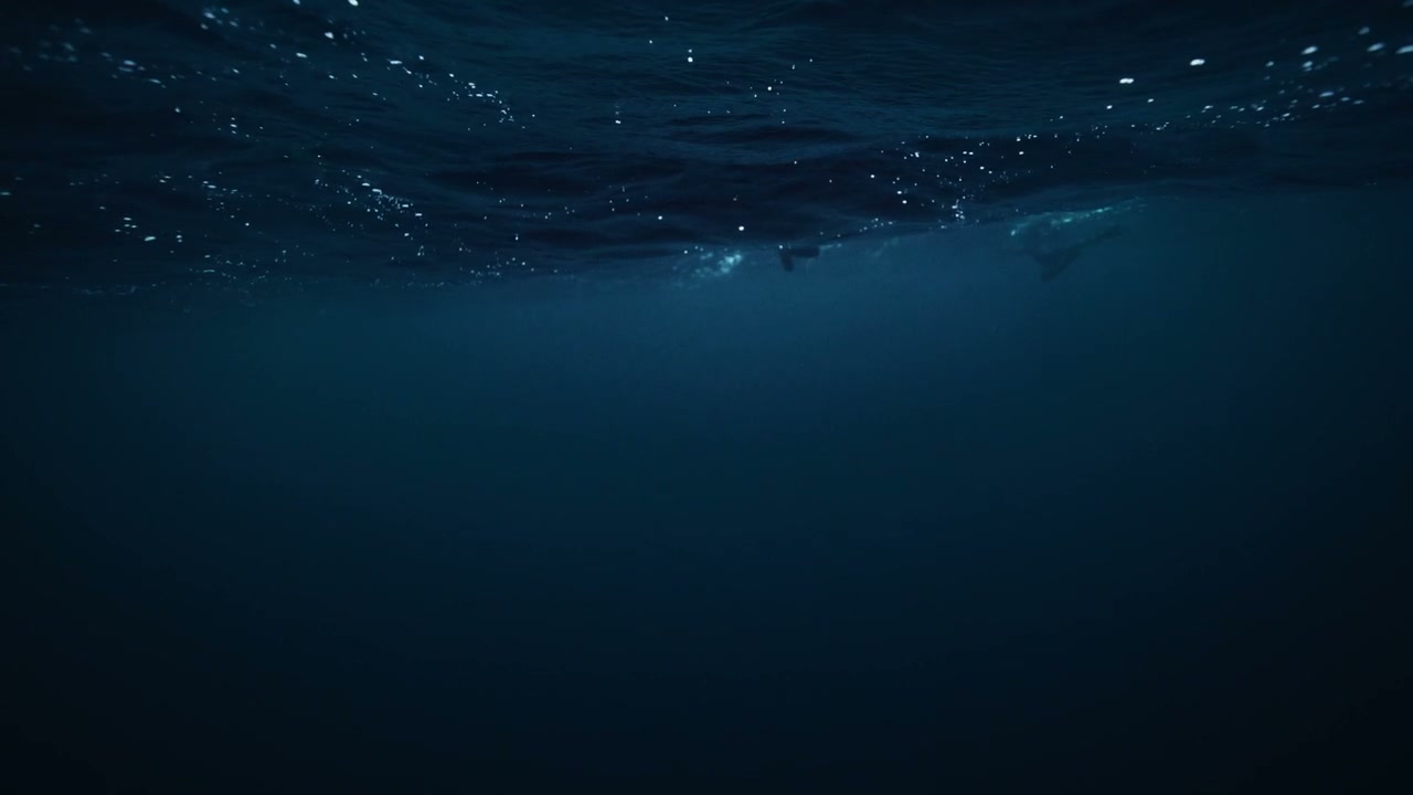 Underwater View of Two Divers Swimming