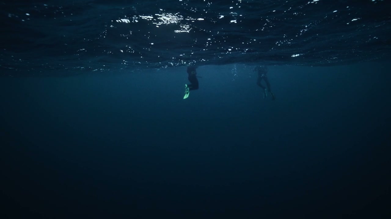 Two Divers Near Ocean Surface
