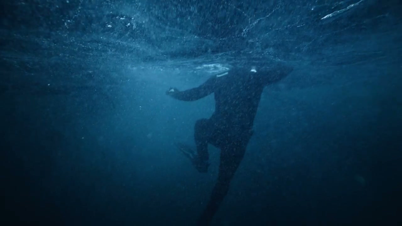 People swimming underwater with beluga whales