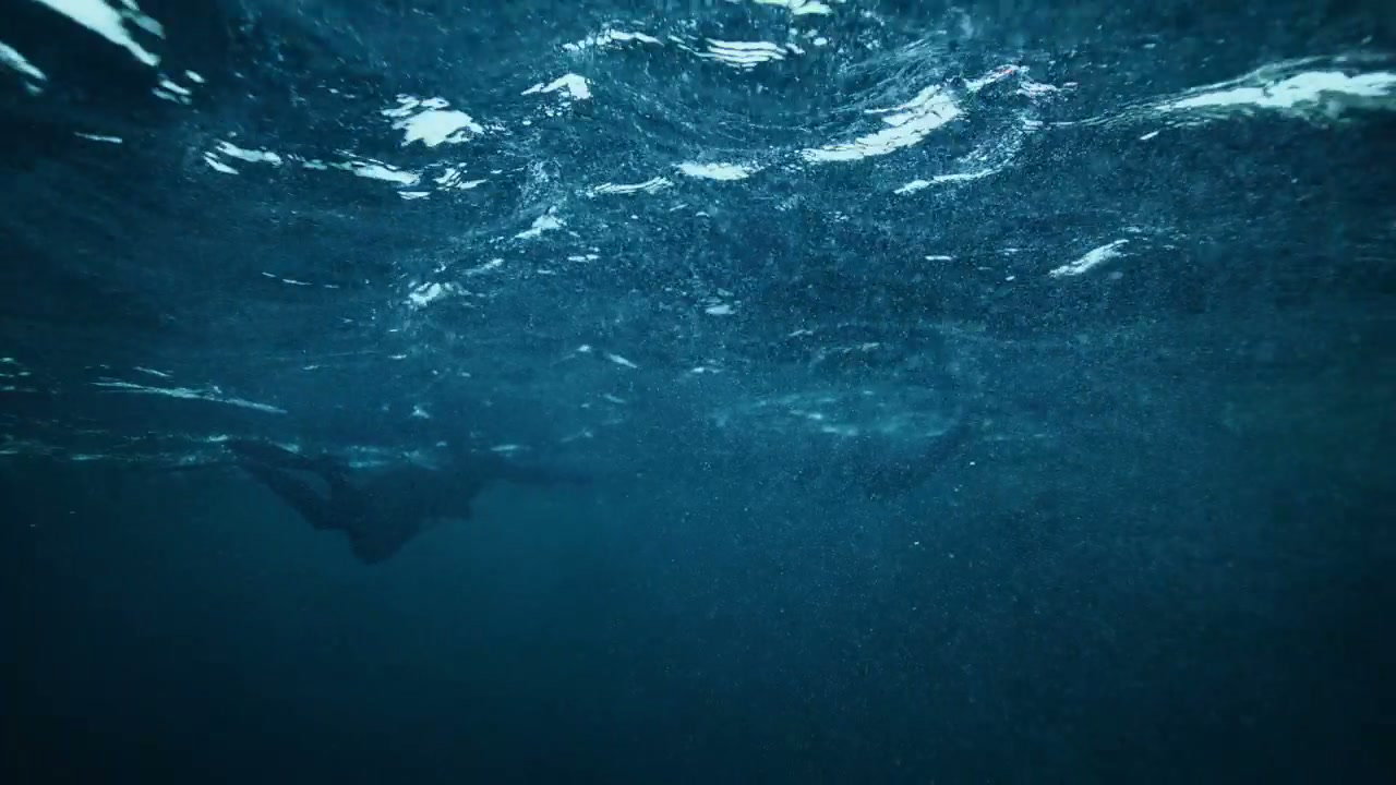 Underwater Swimmers in Arctic Ocean