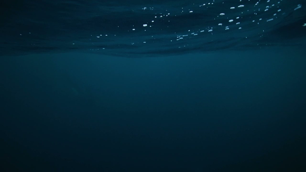 Person Snorkeling Underwater