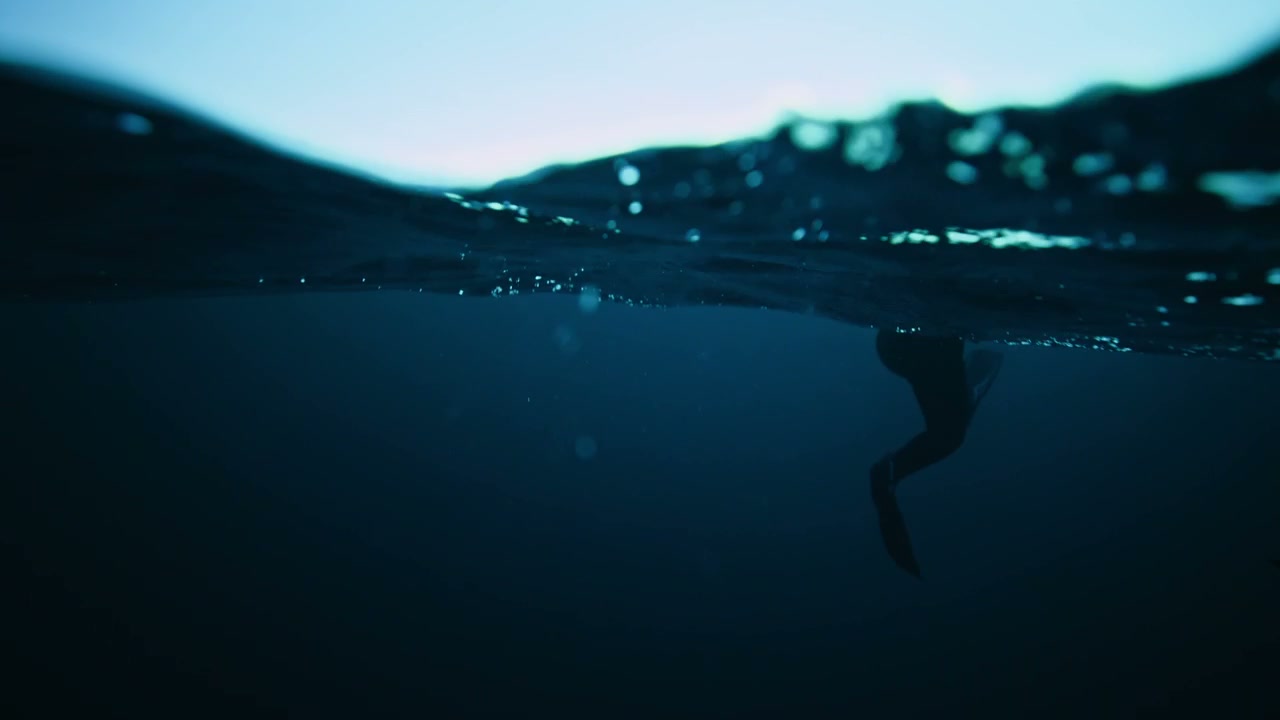 Arctic Swimmers Underwater View