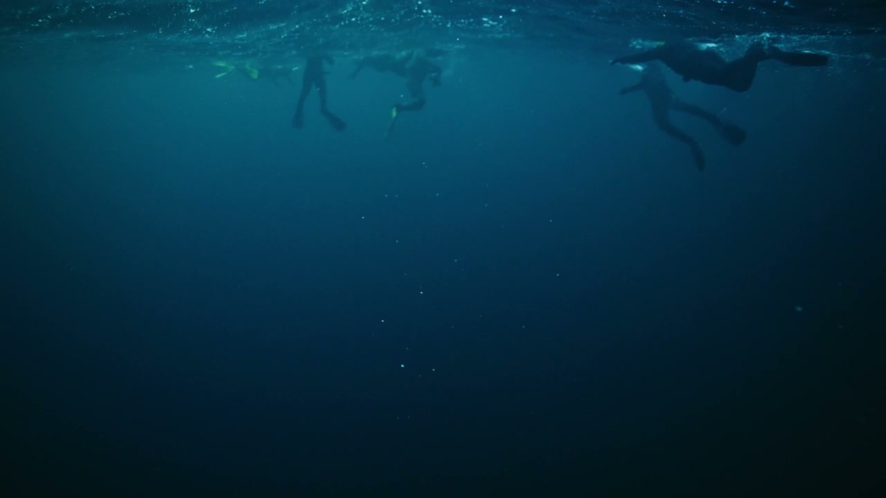 Underwater View of People Snorkeling in Arctic